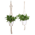 Plant Hanger Pot